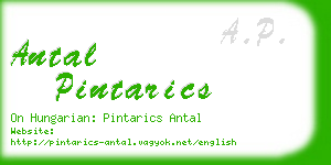 antal pintarics business card